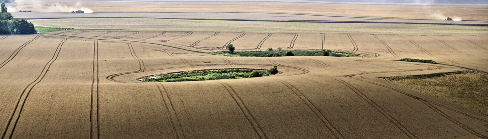 9. Platz Harald Unglert